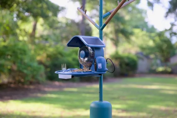 Coolfly Aura ağıllı quş yemliyi: Birdbuddy üçün daha sərfəli alternativ